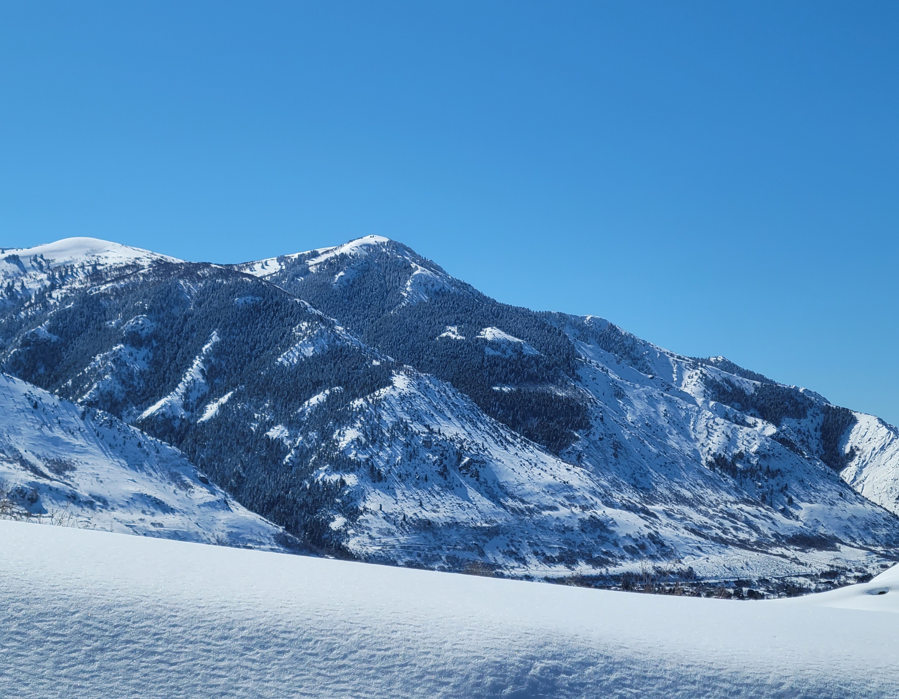 Scenic view of East Mountain